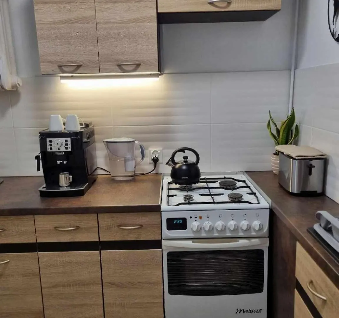 Apartament Piastowska100 Διαμέρισμα Γκντανσκ